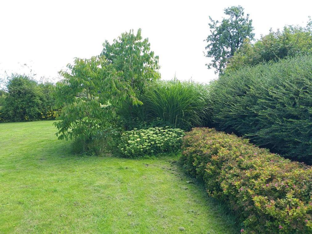 Maison Berton Gedinne Exteriör bild